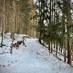 Huskyhausen - Schlittenhunde Erlebnisse & Urlaub Mitten In Der Natur! קלפר אם הוכפיכט