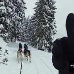 דירה Huskyhausen - Schlittenhunde Erlebnisse & Urlaub Mitten In Der Natur!