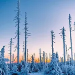 Huskyhausen - Schlittenhunde Erlebnisse & Urlaub Mitten In Der Natur! Klaffer am Hochficht