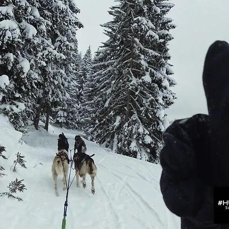 شقة Huskyhausen - Schlittenhunde Erlebnisse & Urlaub Mitten In Der Natur!