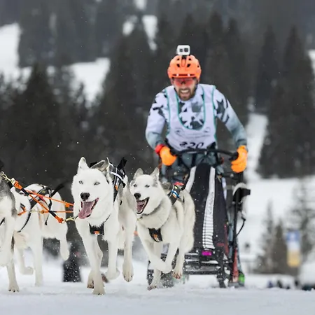 Huskyhausen - Schlittenhunde Erlebnisse & Urlaub Mitten In Der Natur! アパート *