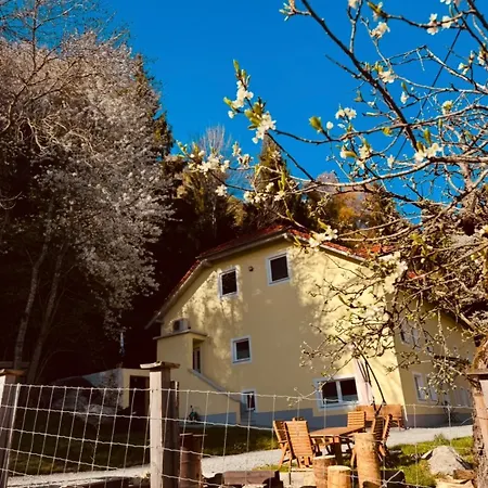 Huskyhausen - Schlittenhunde Erlebnisse & Urlaub Mitten In Der Natur! *