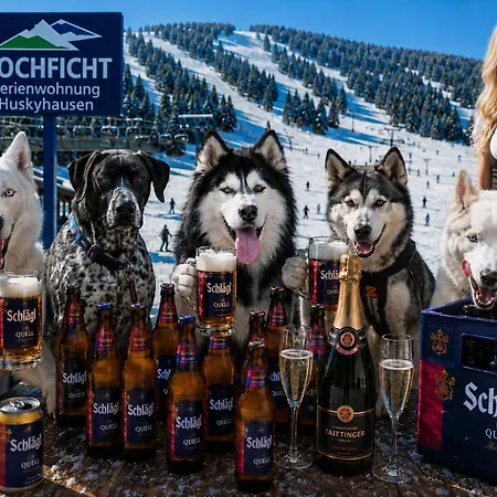 Huskyhausen - Schlittenhunde Erlebnisse & Urlaub Mitten In Der Natur! *