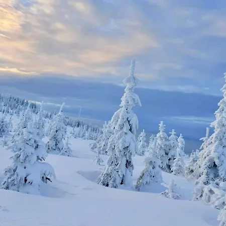 Huskyhausen - Schlittenhunde Erlebnisse & Urlaub Mitten In Der Natur! *