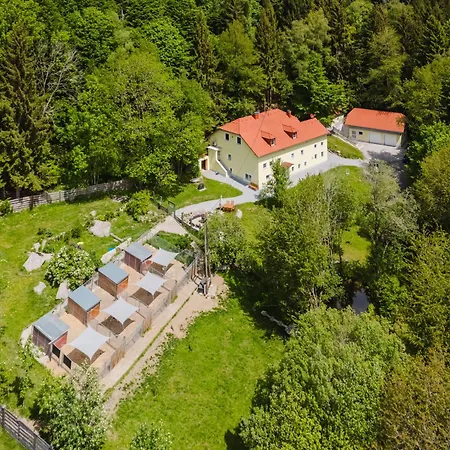 Ferienwohnung Huskyhausen - Urlaub Bei Huskys In Alleinlage Im Boehmerwald