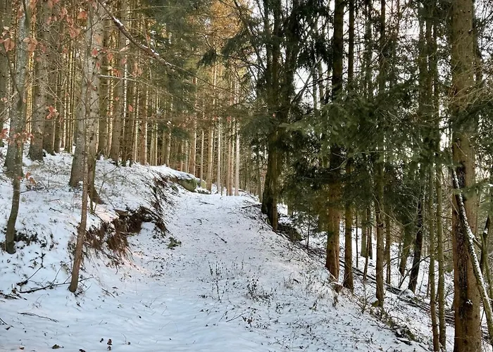 Huskyhausen - Schlittenhunde Erlebnisse & Urlaub Mitten In Der Natur! Klaffer am Hochficht