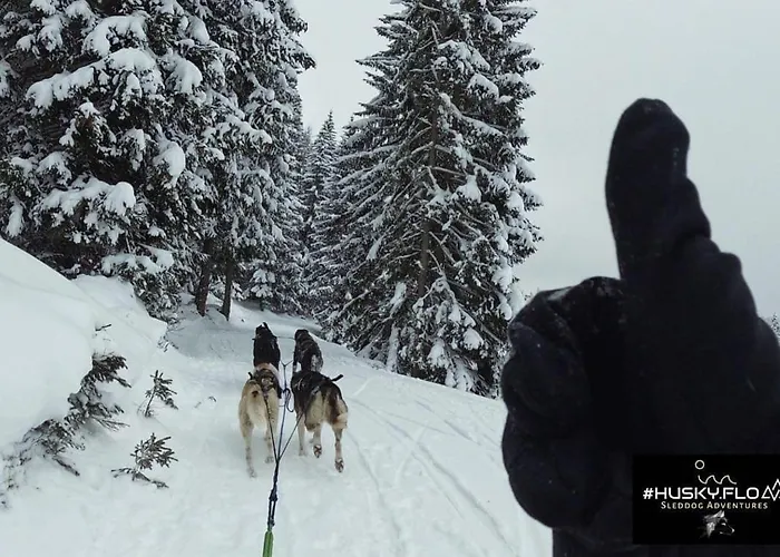 Apartmán Huskyhausen - Schlittenhunde Erlebnisse & Urlaub Mitten In Der Natur!