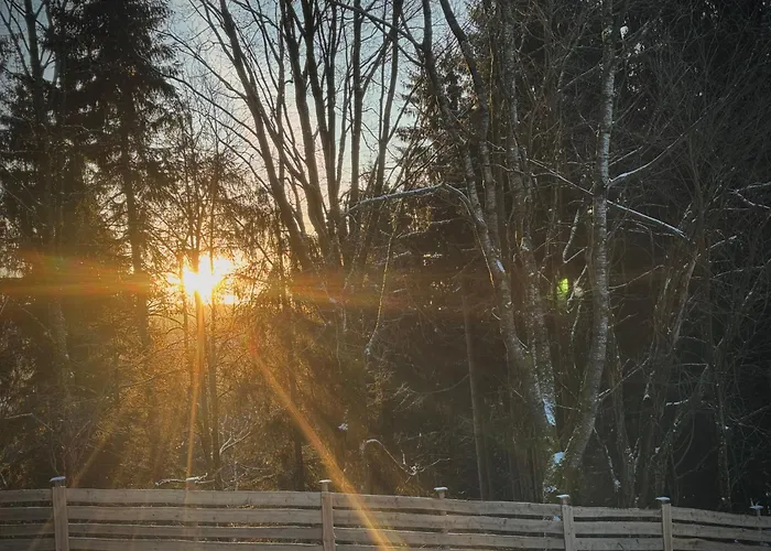 Apartmán Huskyhausen - Schlittenhunde Erlebnisse & Urlaub Mitten In Der Natur! Klaffer am Hochficht