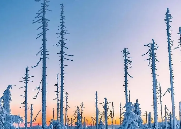 Huskyhausen - Schlittenhunde Erlebnisse & Urlaub Mitten In Der Natur! Klaffer am Hochficht
