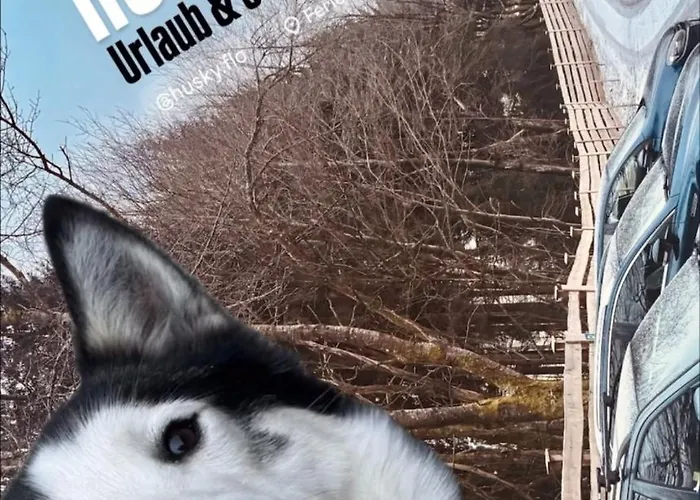 Huskyhausen - Schlittenhunde Erlebnisse & Urlaub Mitten In Der Natur! *