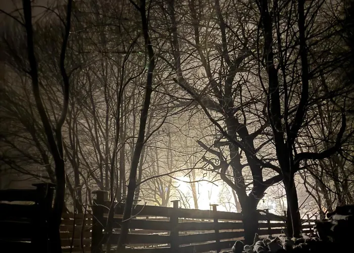 Huskyhausen - Schlittenhunde Erlebnisse & Urlaub Mitten In Der Natur! Διαμέρισμα *