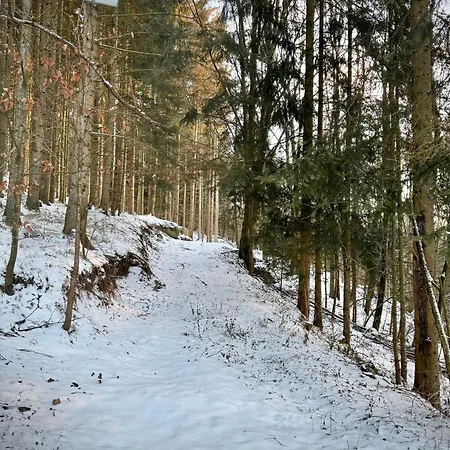 Huskyhausen Klaffer am Hochficht