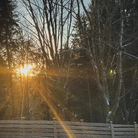 Apartament Huskyhausen - Schlittenhunde Erlebnisse & Urlaub Mitten In Der Natur! Klaffer am Hochficht