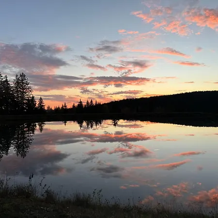 Huskyhausen - Schlittenhunde Erlebnisse & Urlaub Mitten In Der Natur!