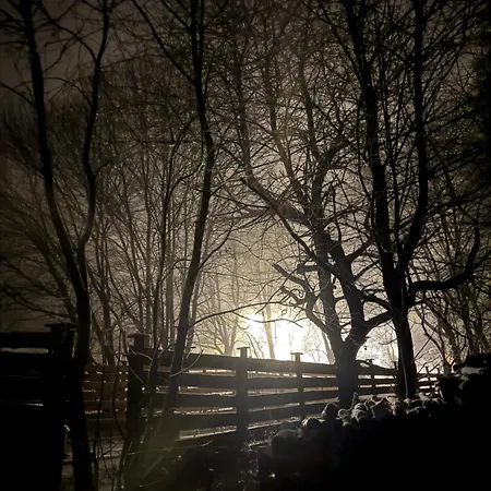 Huskyhausen - Schlittenhunde Erlebnisse & Urlaub Mitten In Der Natur! Apartament *