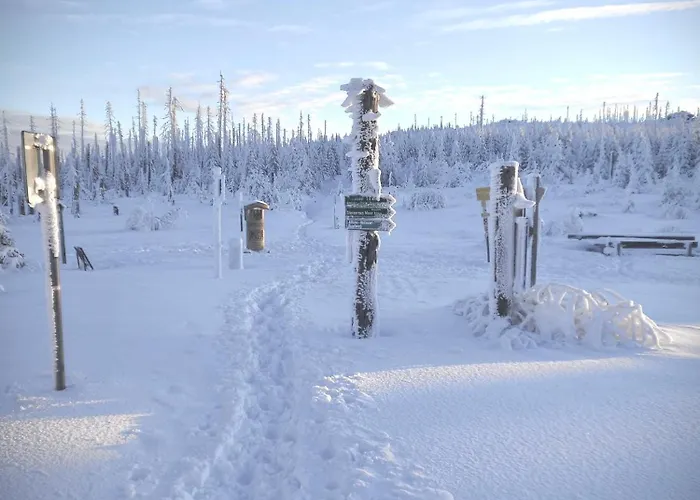 Huskyhausen - Schlittenhunde Erlebnisse & Urlaub Mitten In Der Natur! * Klaffer am Hochficht