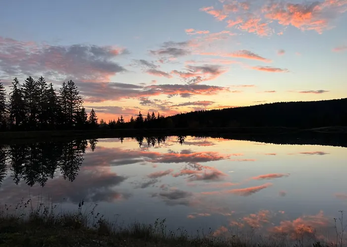 Huskyhausen - Schlittenhunde Erlebnisse & Urlaub Mitten In Der Natur!